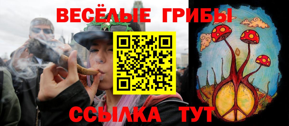 Псилоцибиновые грибы мухоморы Нефтекумск