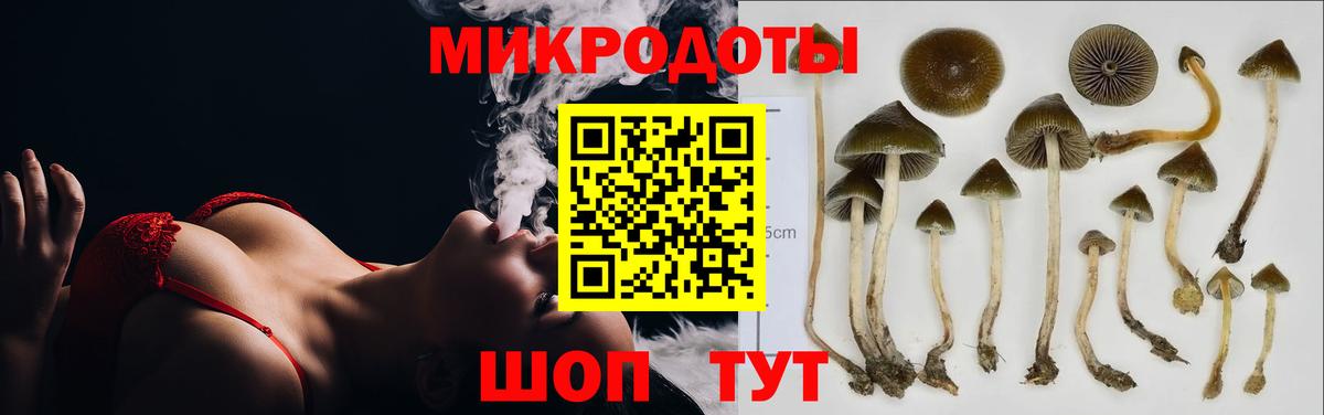 Псилоцибиновые грибы мицелий  сколько стоит  Нефтекумск  Вход с VPN 
